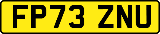 FP73ZNU