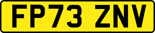 FP73ZNV