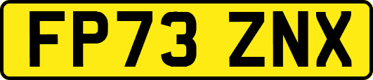 FP73ZNX