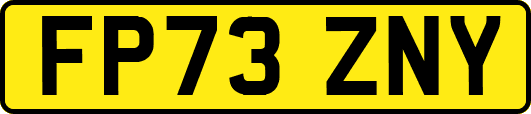 FP73ZNY