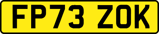 FP73ZOK