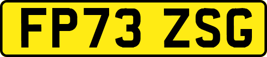 FP73ZSG