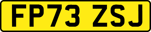 FP73ZSJ