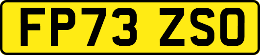 FP73ZSO