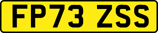 FP73ZSS