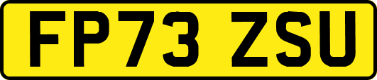 FP73ZSU