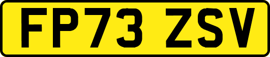 FP73ZSV