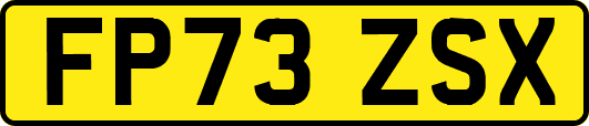 FP73ZSX