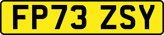 FP73ZSY