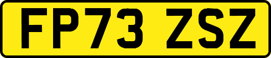 FP73ZSZ