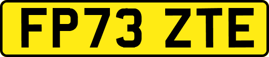 FP73ZTE