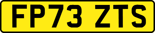 FP73ZTS