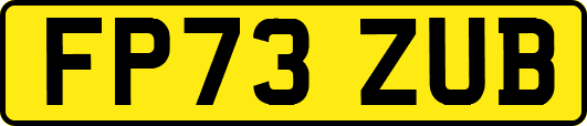 FP73ZUB