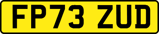 FP73ZUD