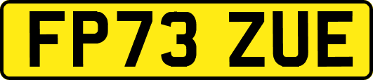 FP73ZUE