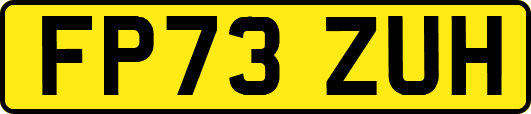FP73ZUH