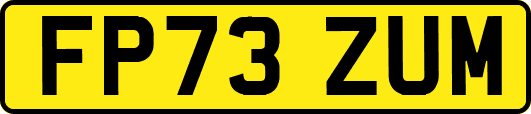 FP73ZUM