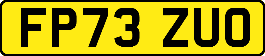 FP73ZUO