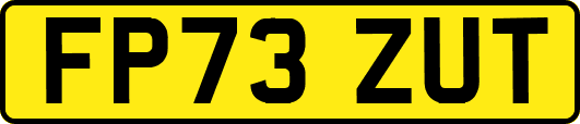 FP73ZUT