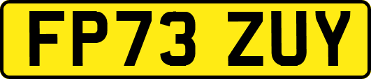 FP73ZUY