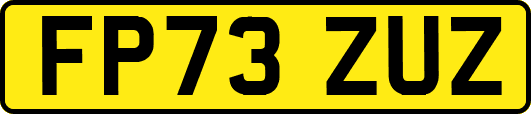FP73ZUZ