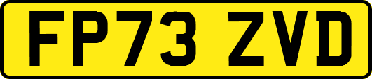 FP73ZVD