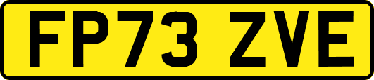FP73ZVE