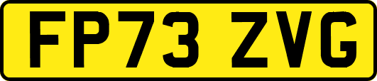FP73ZVG