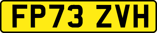 FP73ZVH