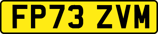 FP73ZVM