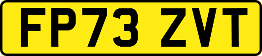 FP73ZVT