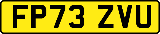 FP73ZVU