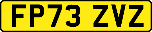 FP73ZVZ