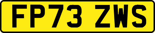 FP73ZWS
