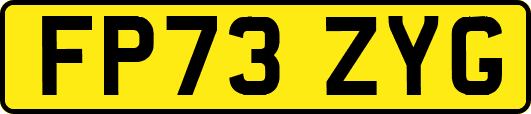 FP73ZYG