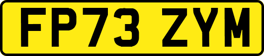 FP73ZYM