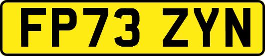 FP73ZYN