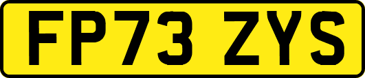 FP73ZYS