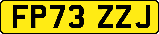 FP73ZZJ