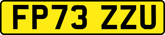 FP73ZZU