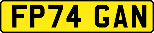 FP74GAN