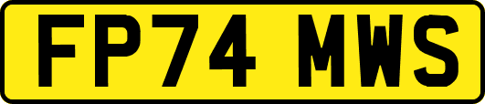 FP74MWS
