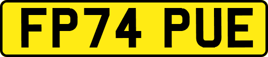 FP74PUE