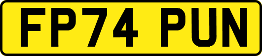 FP74PUN