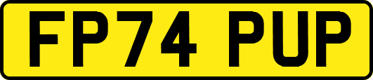 FP74PUP