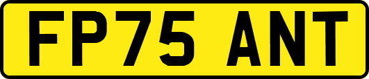 FP75ANT