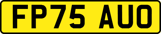 FP75AUO
