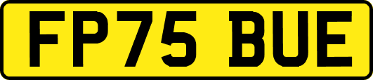 FP75BUE