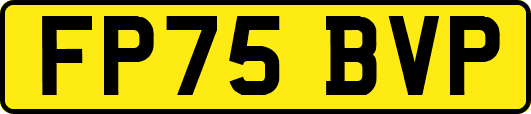 FP75BVP