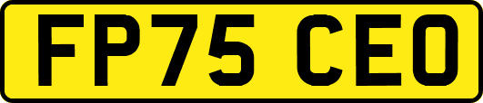 FP75CEO